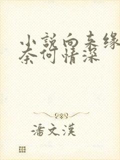 小说向来缘浅,奈何情深