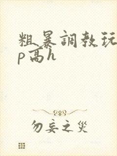 粗暴调教玩弄np高h