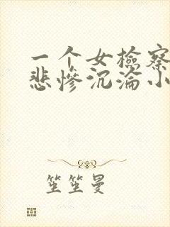 一个女检察官的悲惨沉沦小说