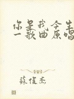 你是我今生的唯一歌曲原唱歌词