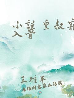 小说 皇叔宠我入骨