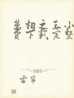 万相之王小说免费下载完整版