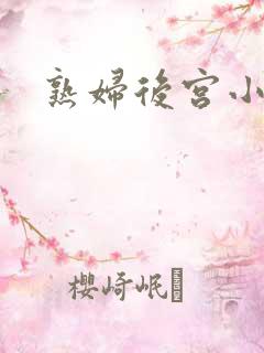 熟妇后宫小说