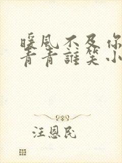 暖风不及你情深青青谁笑小说在线阅读全文