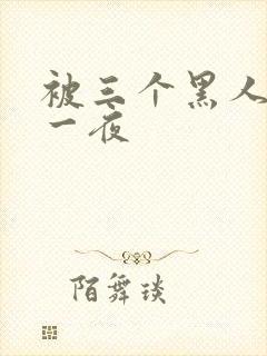 被三个黑人操了一夜