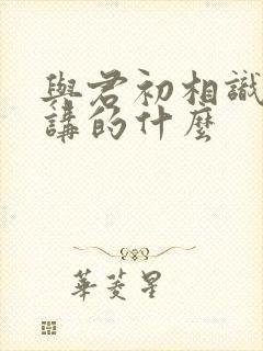 与君初相识小说讲的什么