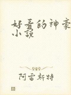 好看的神豪后宫小说