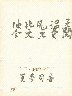 他比风温柔小说全文免费阅读