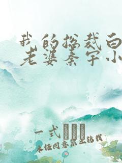 我的总裁白富美老婆秦宇小说正版