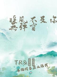 暖风不及你情深无弹窗