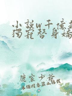 小说w千亿总裁独宠替身娇妻》