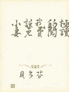 小说我的极品娇妻免费阅读