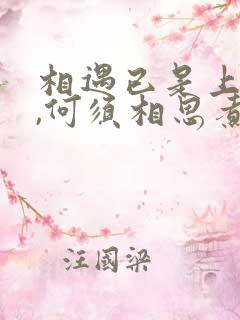 相遇已是上上签,何须相思煮余年的下一句