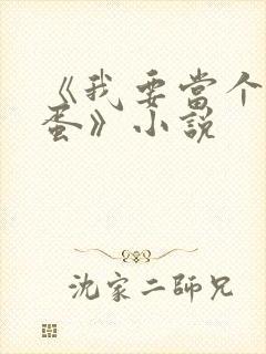 《我要当个大坏蛋》小说