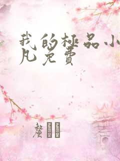 我的极品小姨叶凡免费