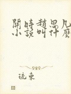 关时赵思凡原著小说叫什么名字