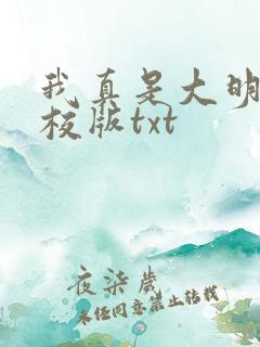 我真是大明星精校版txt