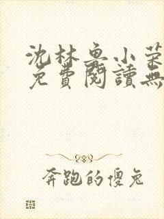 沈林鲁小荣小说免费阅读无弹窗