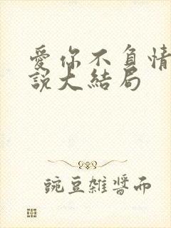 爱你不负情深小说大结局