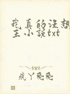 我真的没想抢男主小说txt