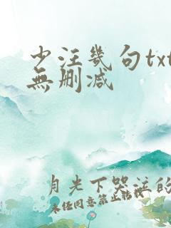 少汪几句txt无删减