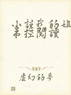 小说我的姐姐很弟控阅读