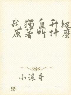 我独自升级小说原著叫什么