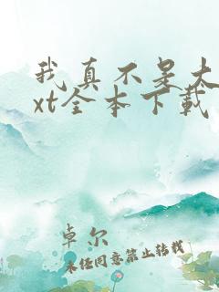 我真不是大佬txt全本下载