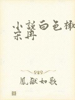 小说白色橄榄树宋冉