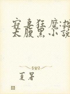 宠妻狂魔:总裁太腹黑小说