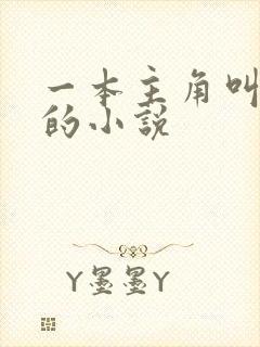 一本主角叫萧风的小说