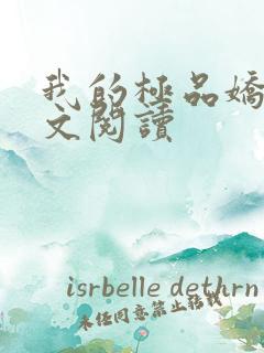 我的极品娇妻全文阅读