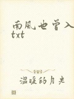 南风也曾入我怀txt