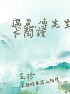 遇见,傅先生全本阅读