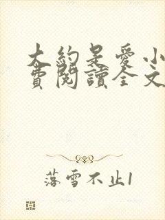 大约是爱小说免费阅读全文