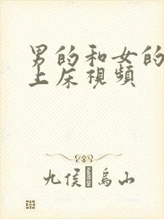 男的和女的一起上床视频