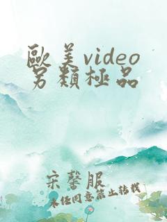 欧美video另类极品
