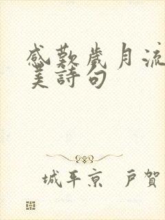 感叹岁月流逝唯美诗句