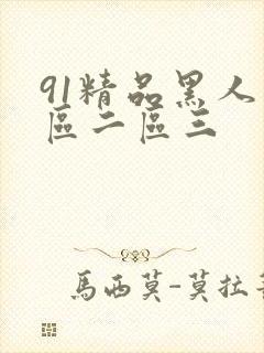 91精品黑人一区二区三