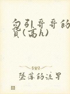 勾引哥哥的小骚货(高h)