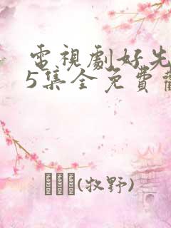 电视剧好先生45集全免费观看