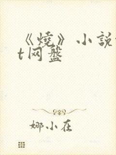 《烧》小说txt网盘