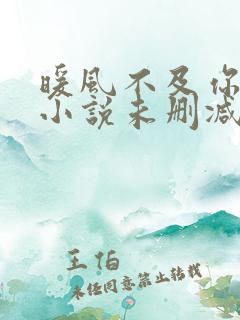 暖风不及你情深小说未删减版