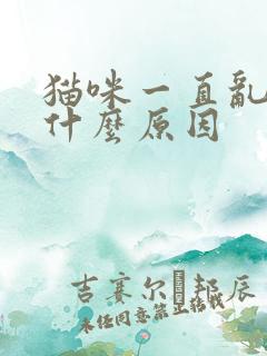 猫咪一直乱尿是什么原因