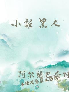 小说 黑人