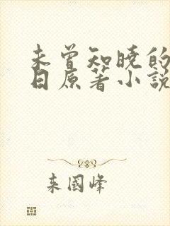 未曾知晓的那一日原著小说叫什么