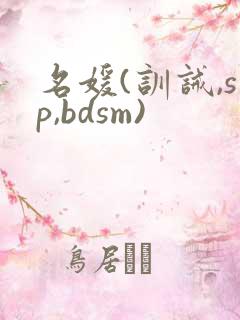 名媛(训诫,sp,bdsm)