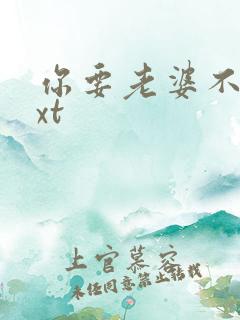 你要老婆不要txt