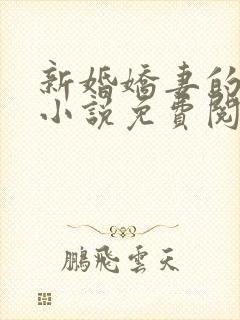 新婚娇妻的秘密小说免费阅读