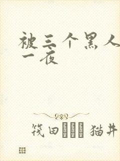 被三个黑人猛躁一夜